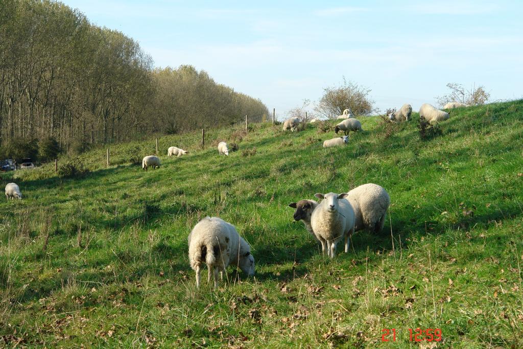 Apart Hotel Het Veerse Meer Kortgene Luaran gambar
